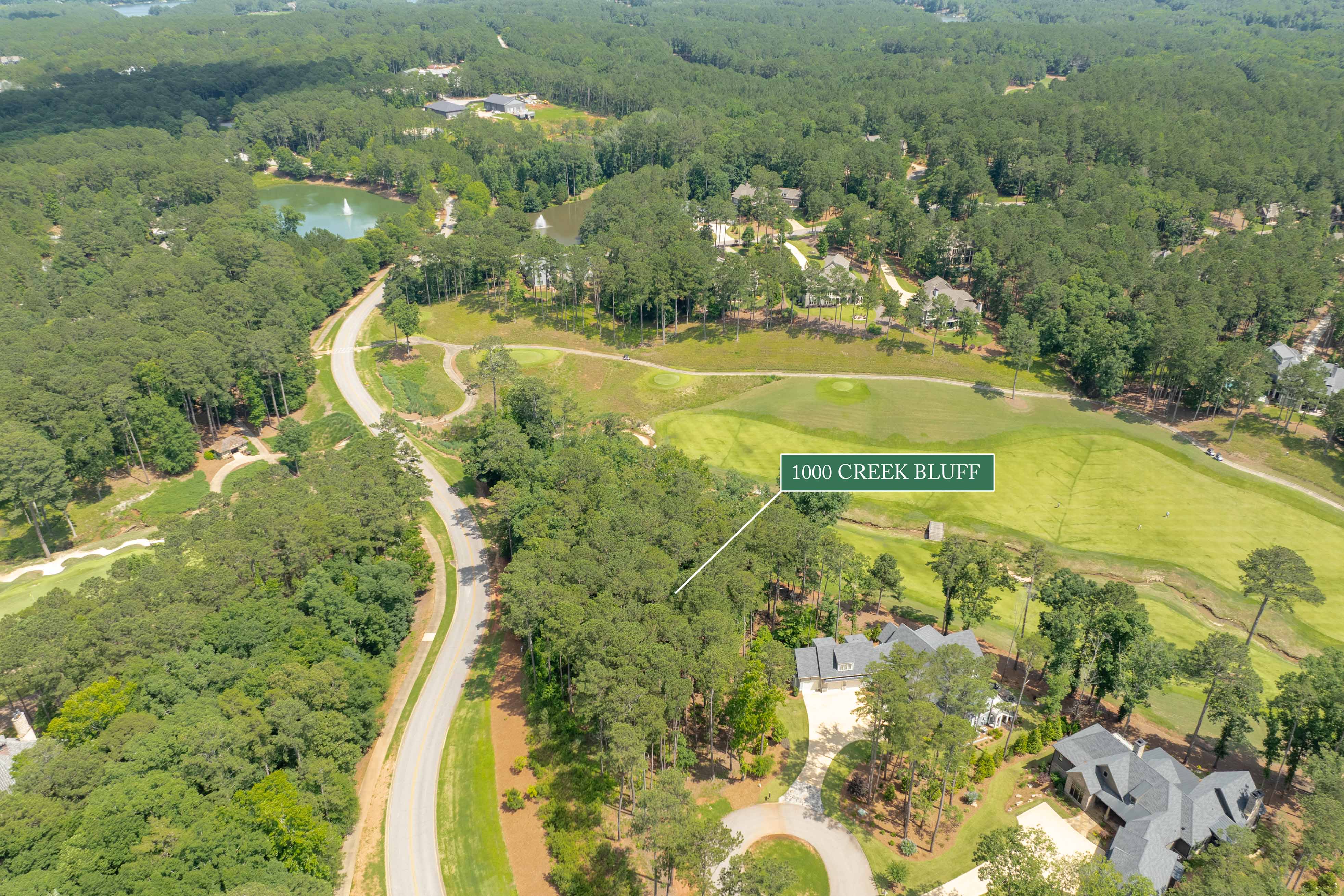 1000 Creek Bluff image 18